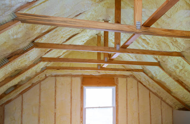 Best Professional Insulation Contractor  in Long Neck, DE