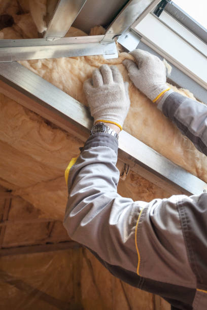 Best Fiberglass Insulation  in Long Neck, DE