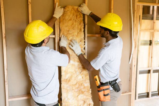 Best Insulation Removal  in Long Neck, DE