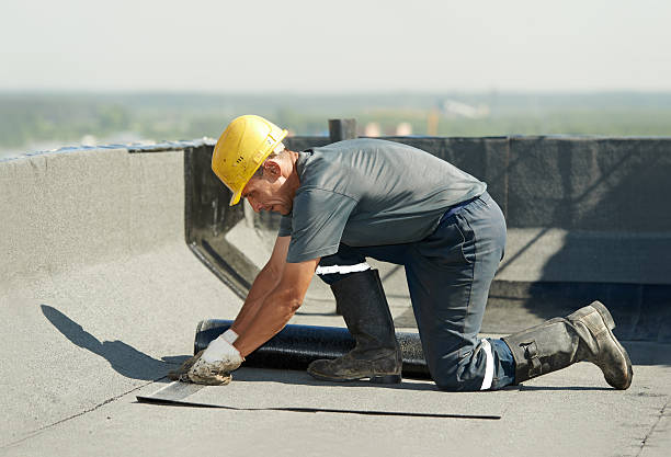 Professional Insulation Contractor in Long Neck, DE