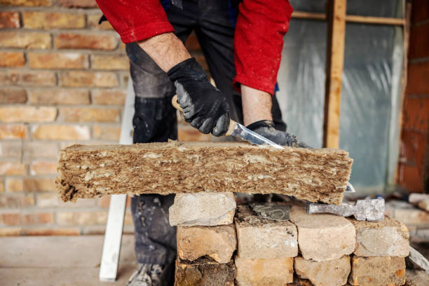 Best Best Insulation Companies  in Long Neck, DE