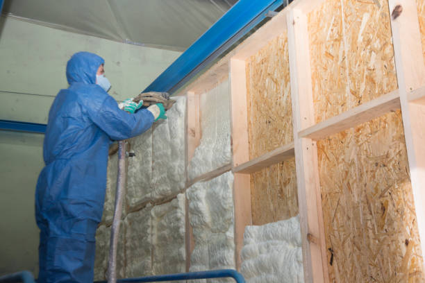 Best Spray Foam Insulation  in Long Neck, DE