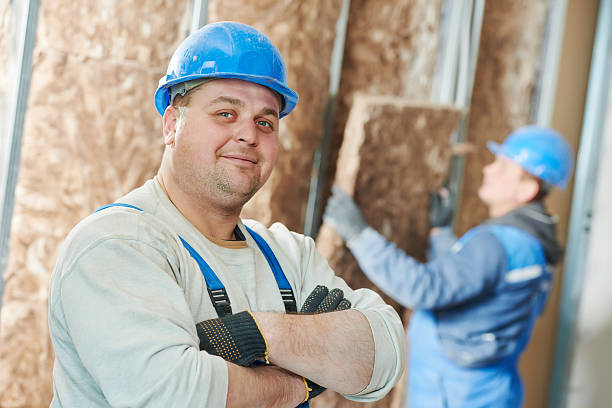 Best Soundproof Insulation Installation  in Long Neck, DE