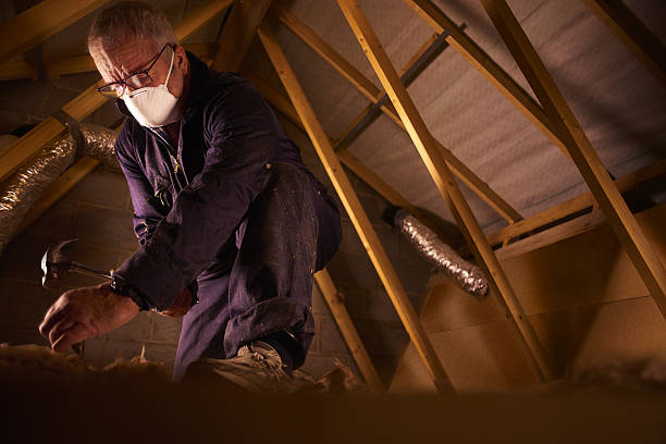 Best Attic Insulation Installation  in Long Neck, DE